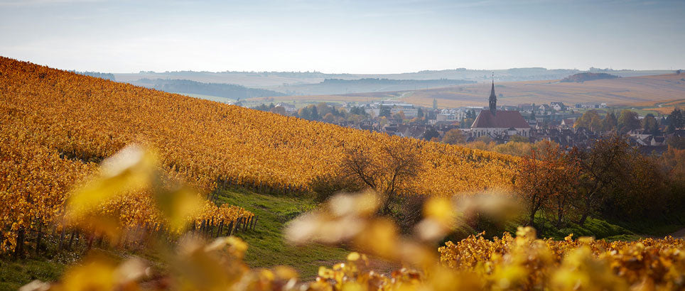 What Is Chablis?