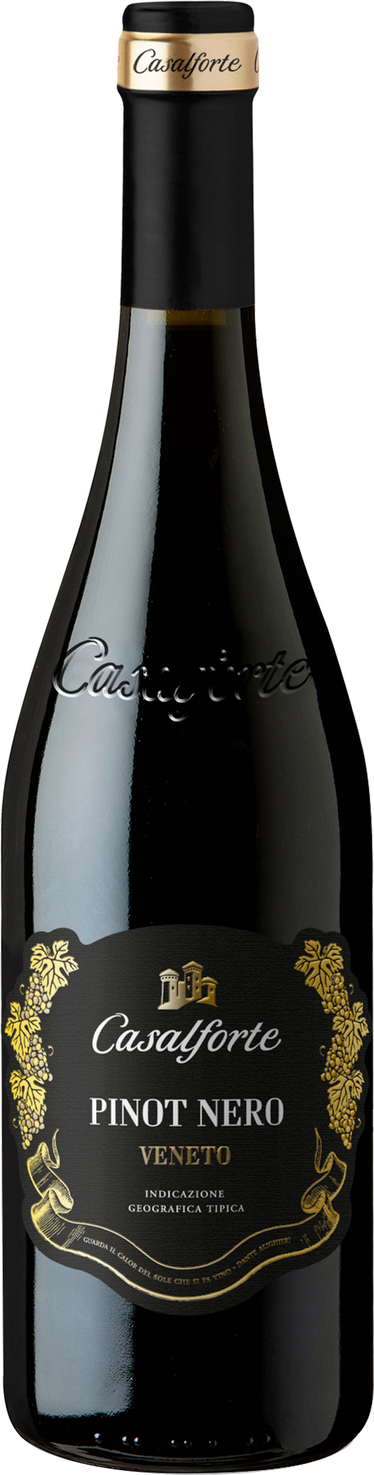 Casalforte Pinot Nero IGT Veronese 2021