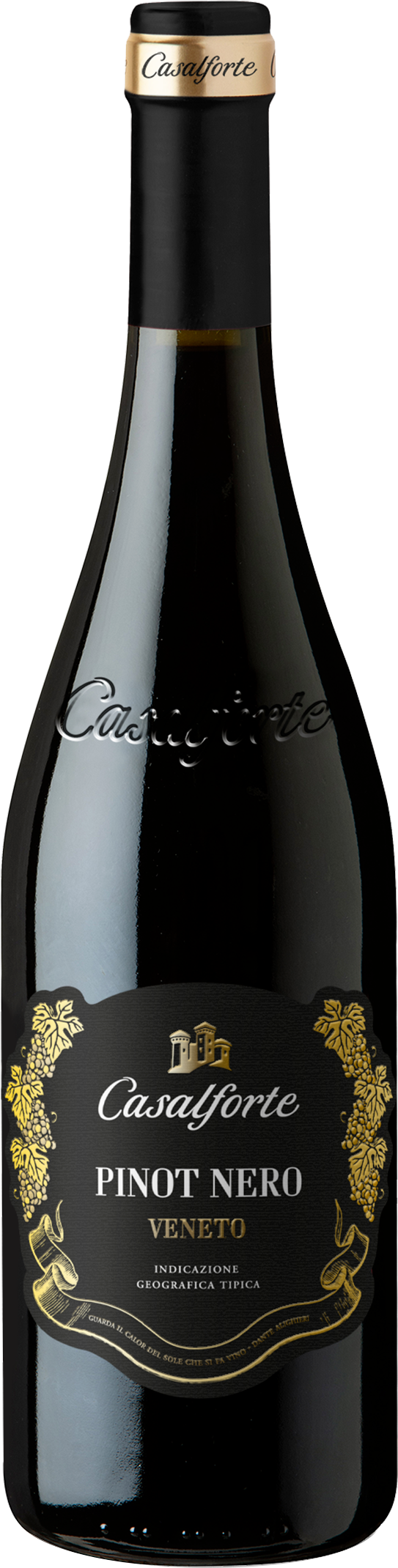 Casalforte Pinot Nero IGT Veronese 2021