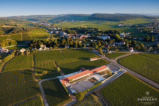 Domaine Faiveley - Excellence in the Heart of Bourgogne