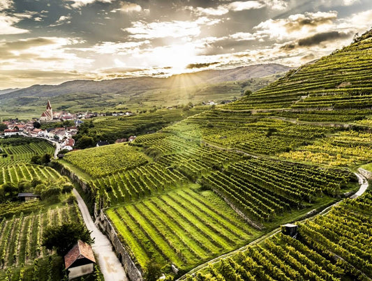 Domäne Wachau - Europe's #1 Winery