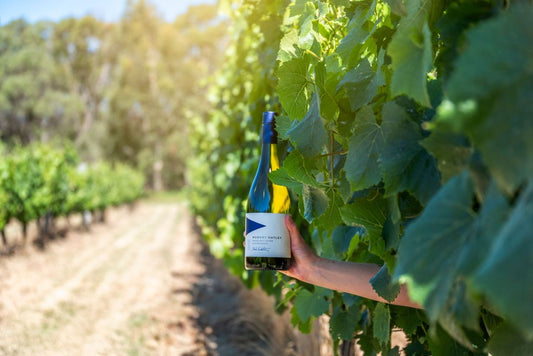 Buyers Guide: White Wine