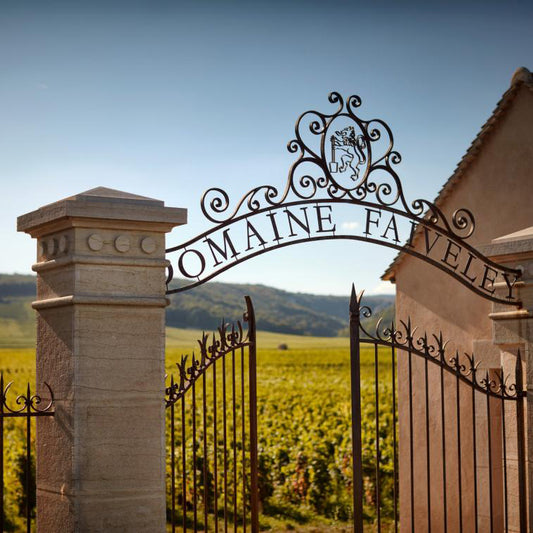 Domaine Faiveley Wines