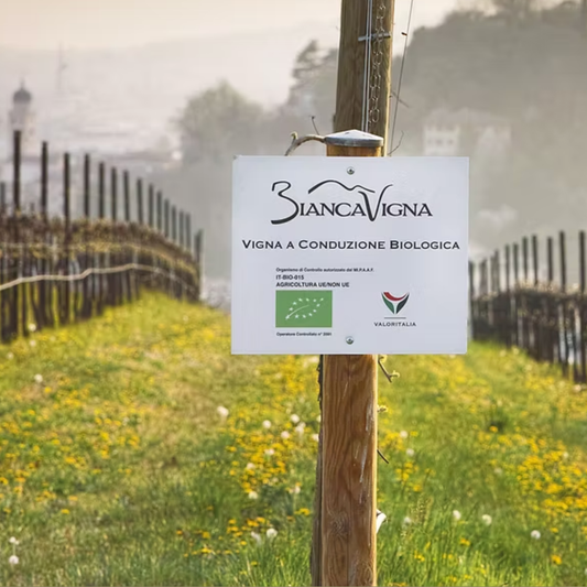 Bianca Vigna Prosecco